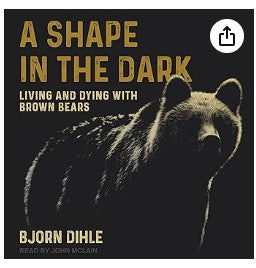 A Shape in the Dark By Bjorn Dihle