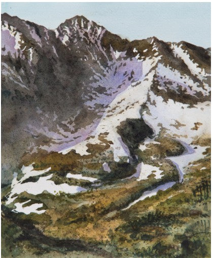Robin Farmer Art Prints