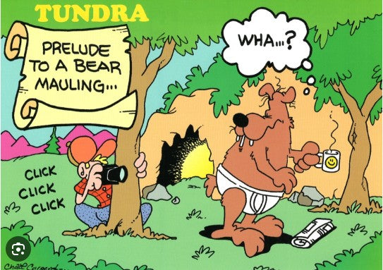 Tundra Comics