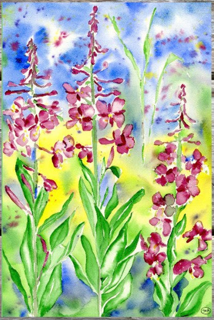 Natasha Zahn Journals