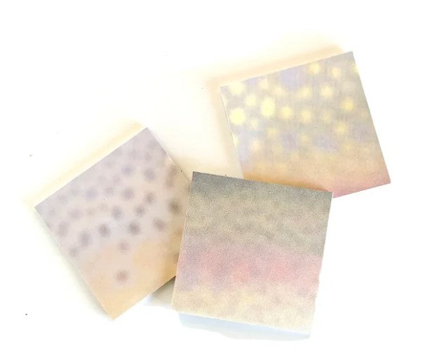 Corvidae Drawings Sticky Notes