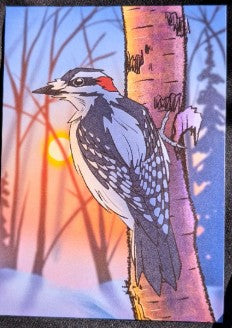 Bird Ninja Art Prints