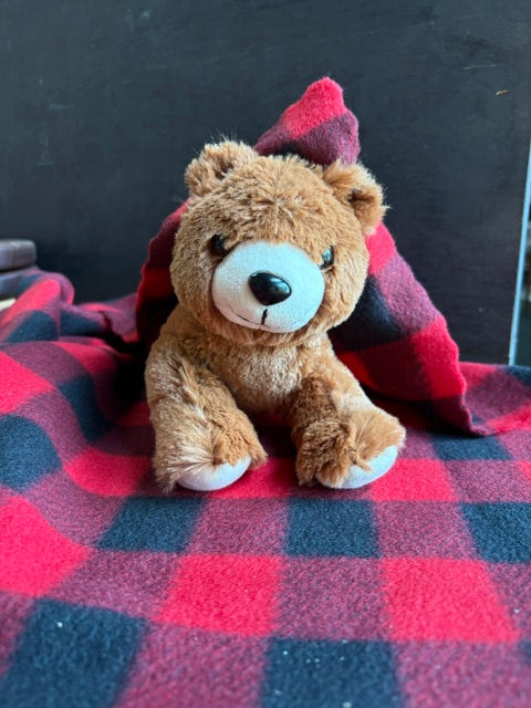 Alaskan Lovey Blanket