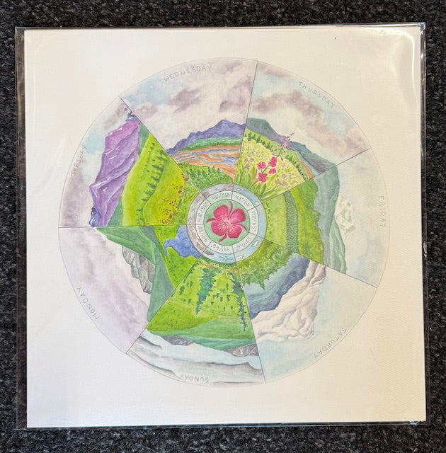 Tiny Nest Studio Phenology Wheels