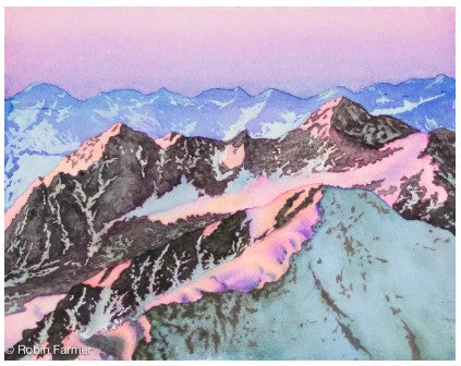 Robin Farmer Art Prints