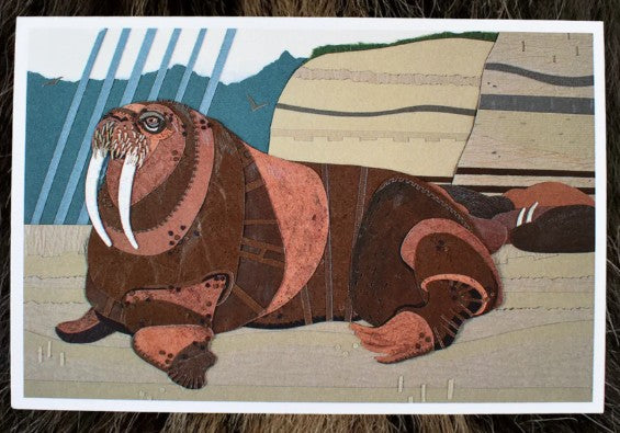 Arctic Haven Studio Cards
