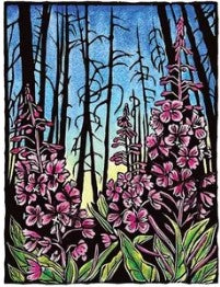 Claire Emery Cards