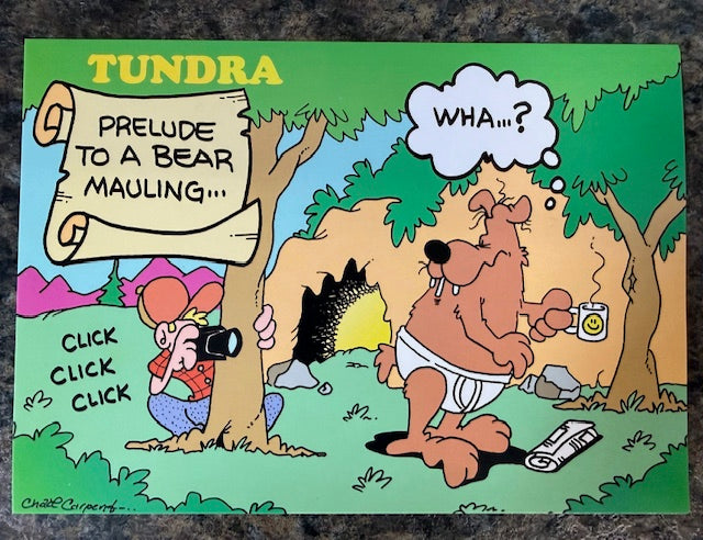 Tundra Postcard