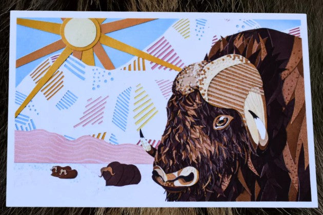 Arctic Haven Studio Cards