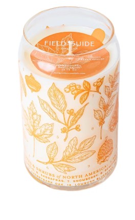 Good & Well Scent Collection