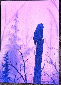 Bird Ninja Art Prints