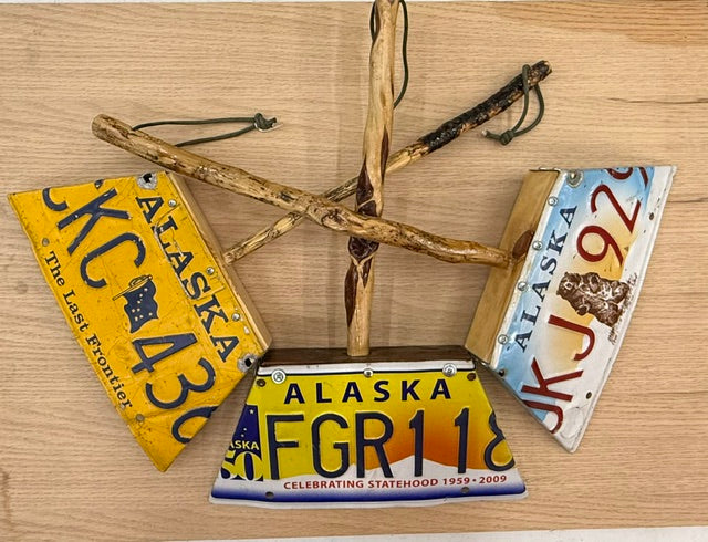 License Plate Dust Pan