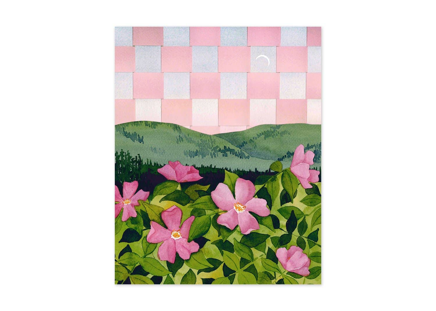 Coming Up Roses