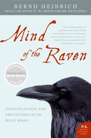 Mind of the Raven: Bernd Heinrich