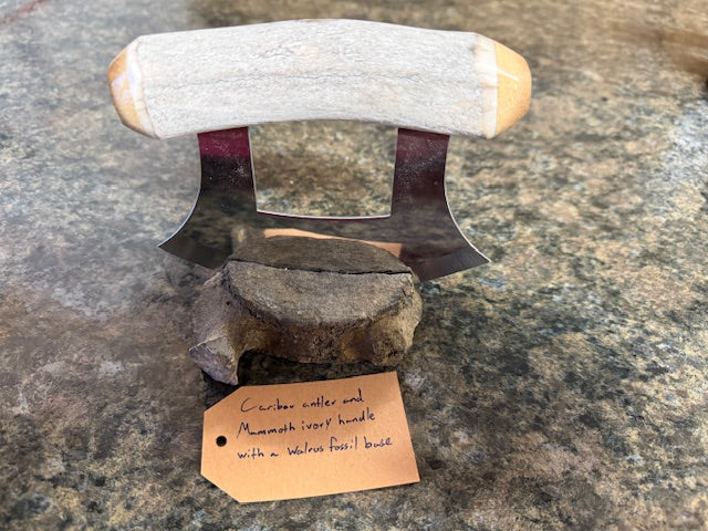 Fossilized Bone Ulus