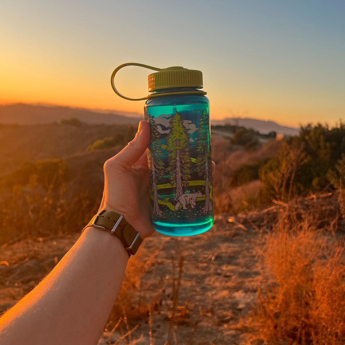 16oz Wide Mouth Nalgene Water Bottles