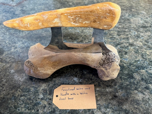 Fossilized Bone Ulus