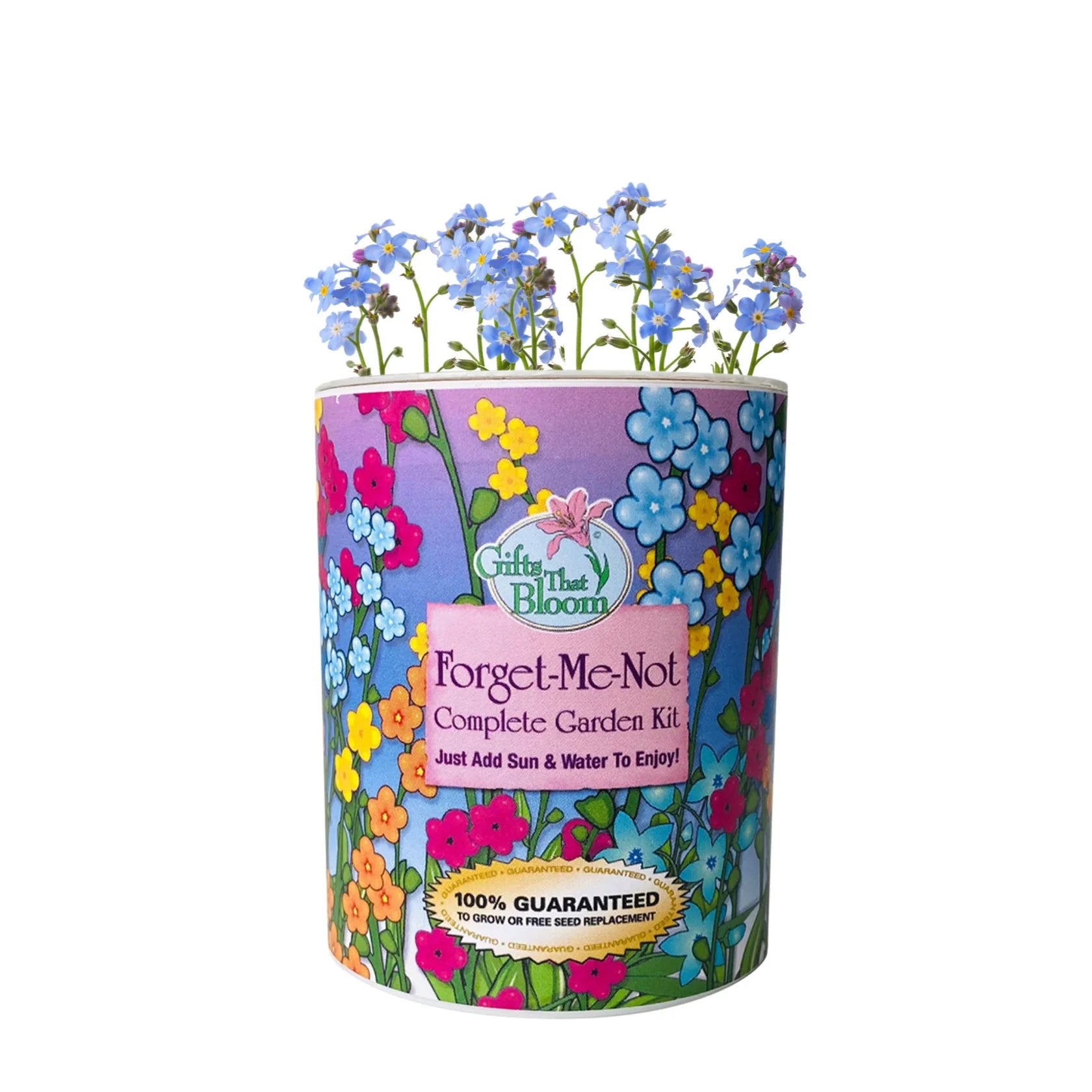 Gifts That Bloom Forget Me Not Kits