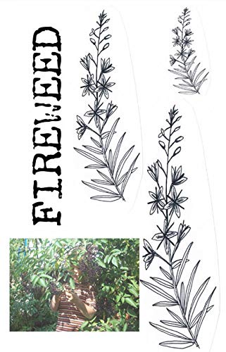Fireweed #2 : A Zine of Grassroots Radical Herbalism and Wild Foods Connecting with Kids and Family Life