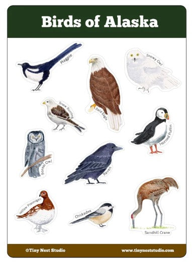 Tiny Nest Studio Stickers