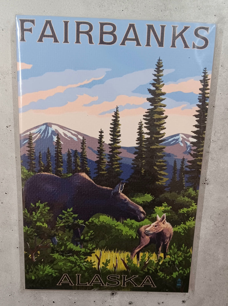 Eco Friendly Fairbanks Journal