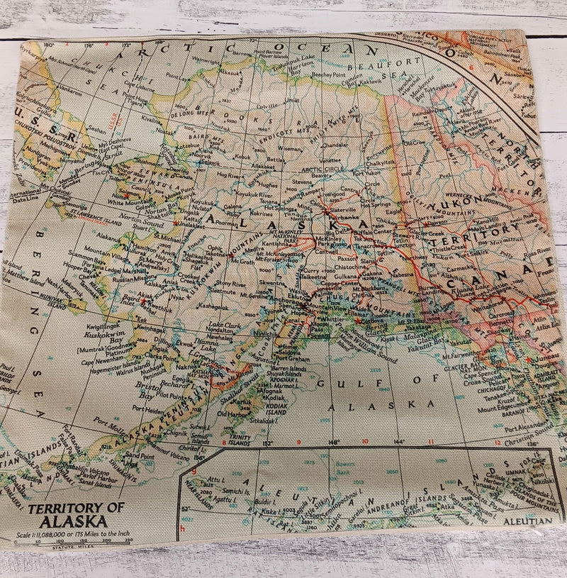Vintage Map Pillow Cases