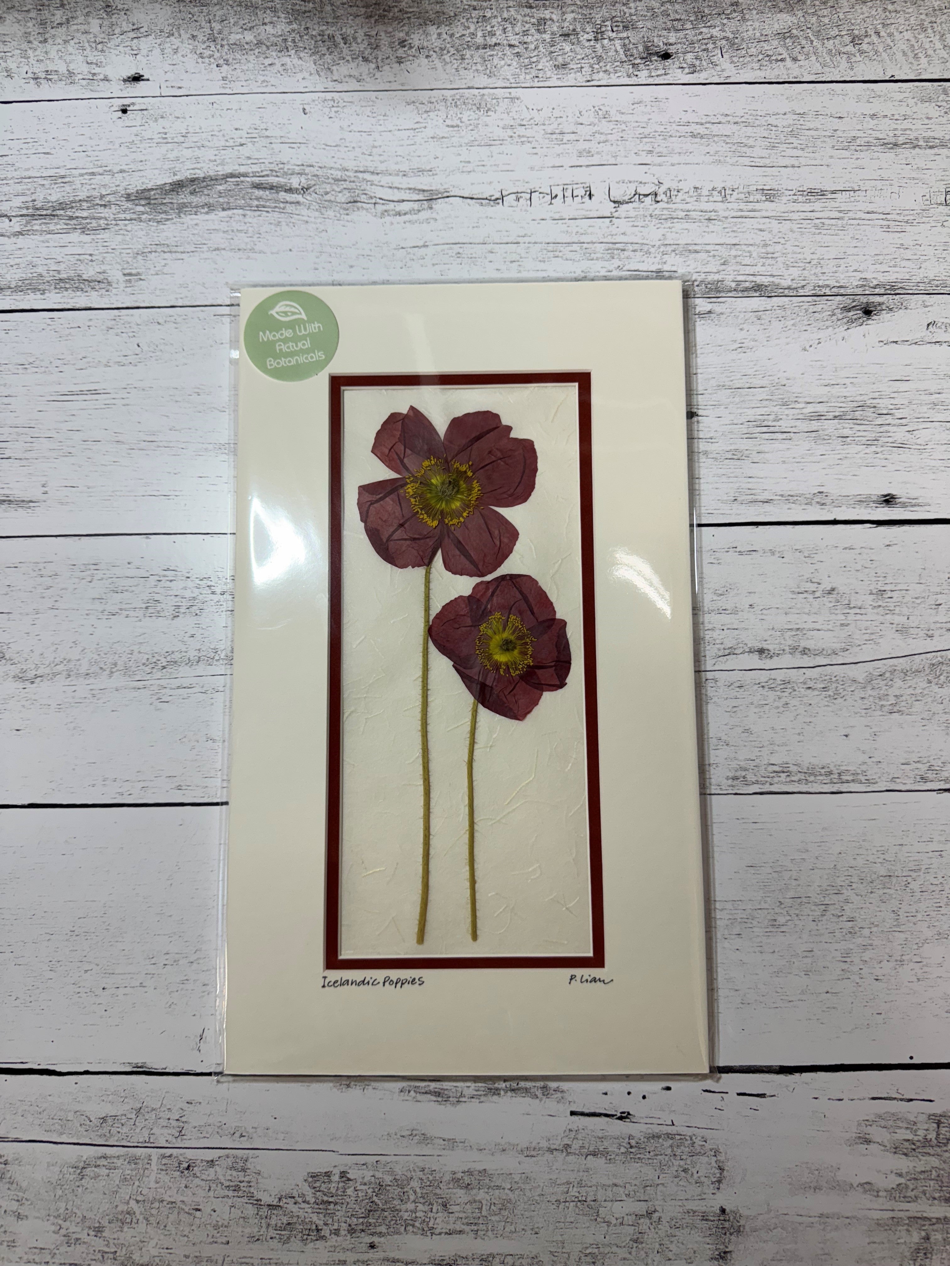 Iceworm Botanical Collection (Medium)