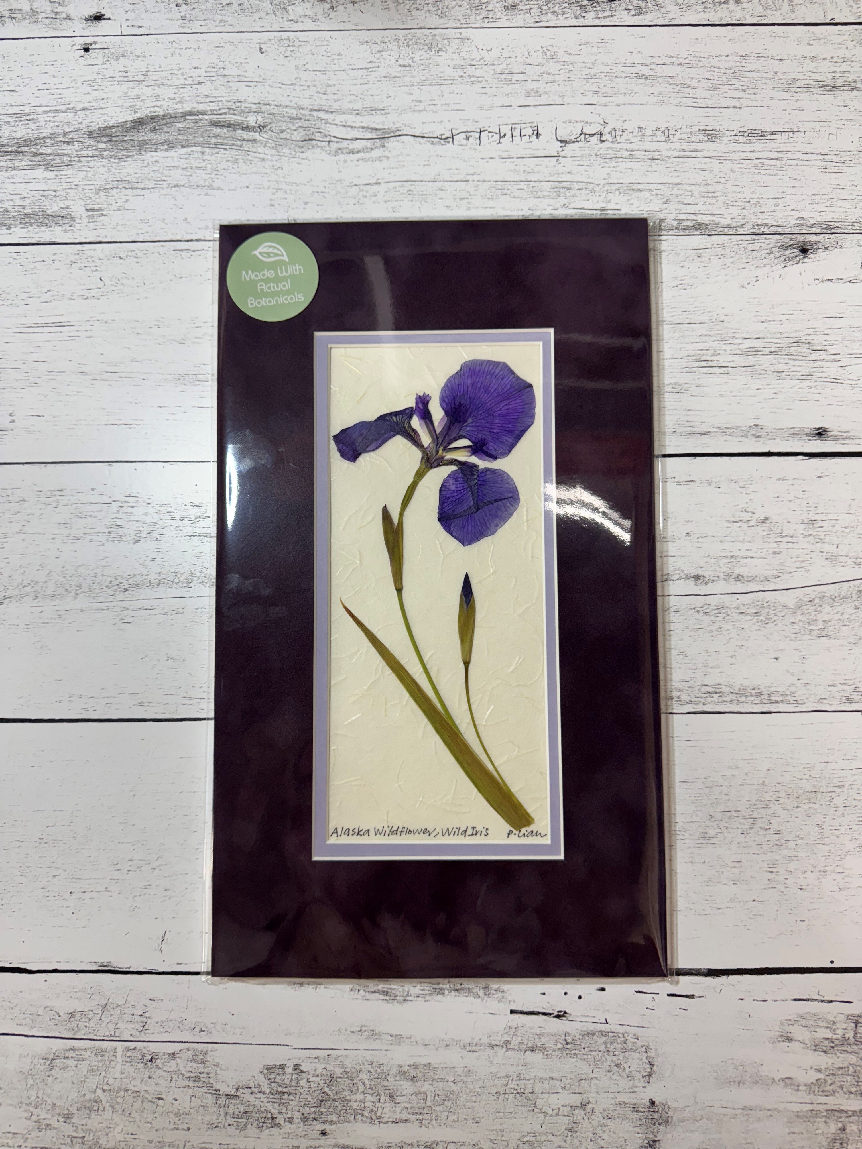 Iceworm Botanical Collection (Medium)