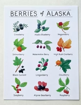 Berries of Alaska Watercolor Art Print
