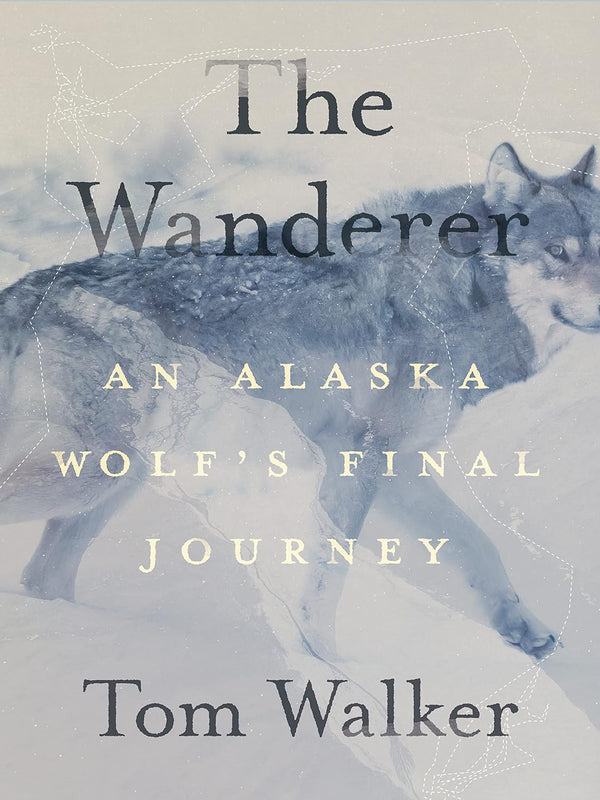 The Wanderer: An Alaska Wolf’s Final Journey