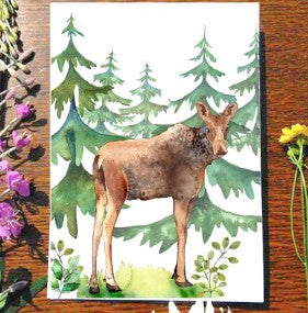 Dancing Raven Designs Cards