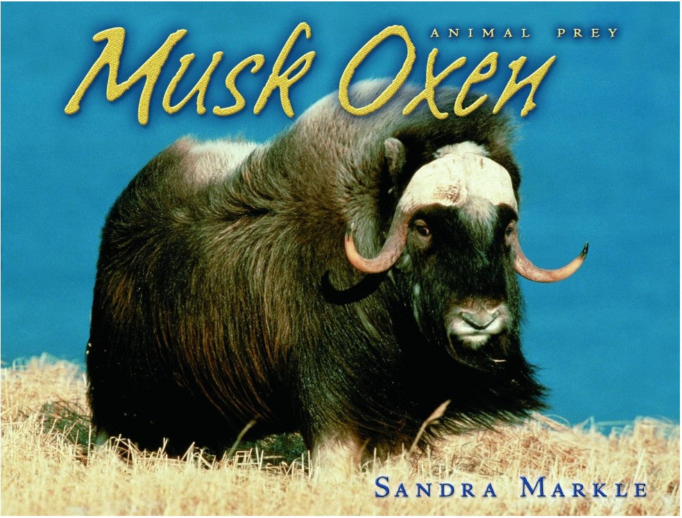 Musk Oxen Book By Sandra Markle