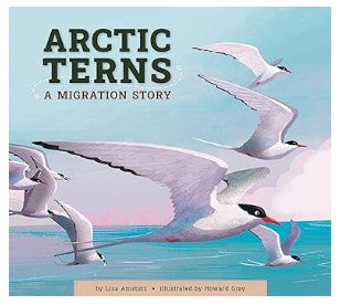 Arctic Terns By Lisa Amstutz