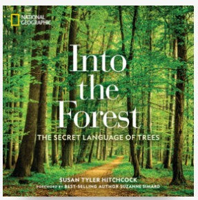 Into the Forrest By Susan Hitchcock