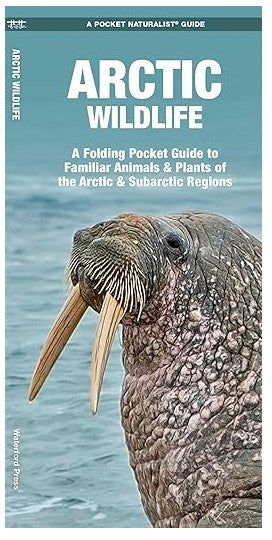 Arctic Wildlife Pocket Guide