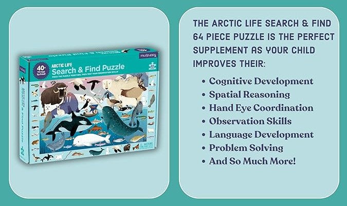 Arctic Life Search & Find Puzzle