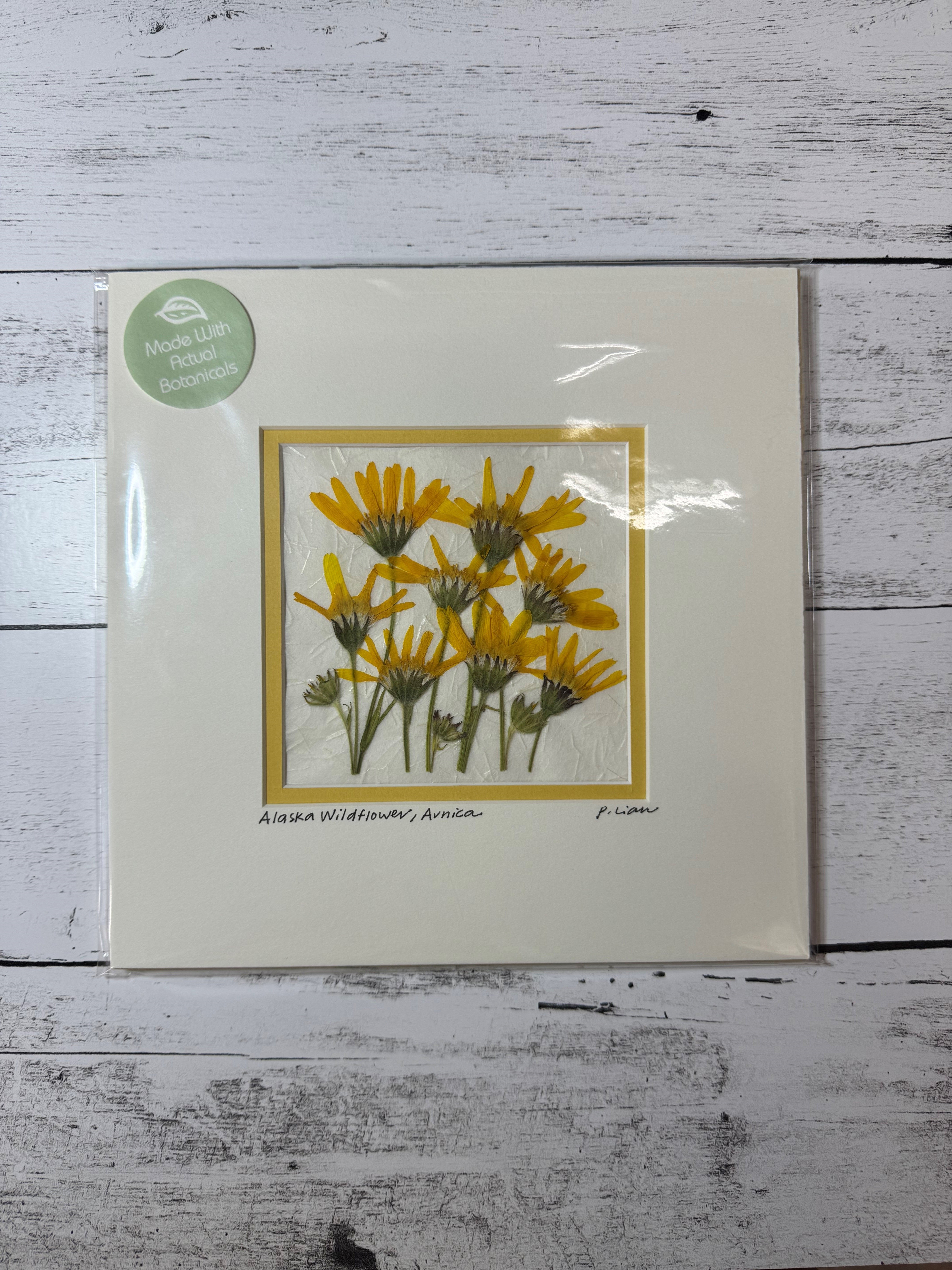 Iceworm Botanical Collection (Medium)