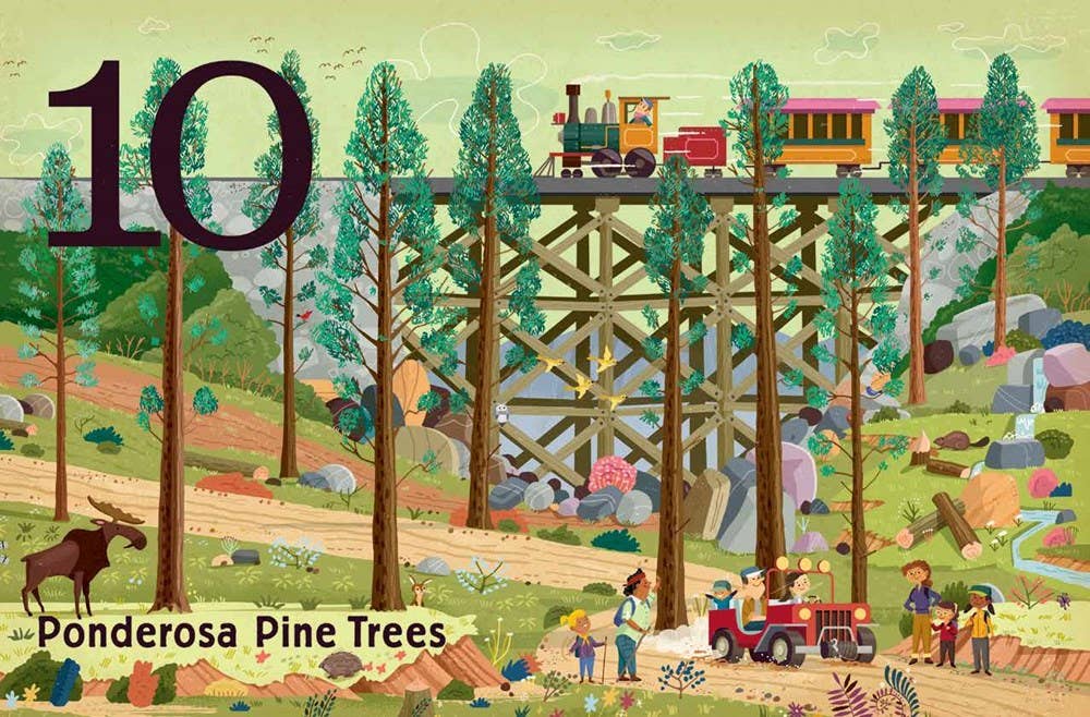 Trees: A Count and Find Primer Board Book