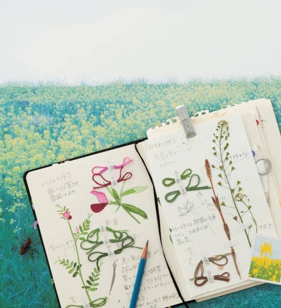 Embroidered Wld Flowers