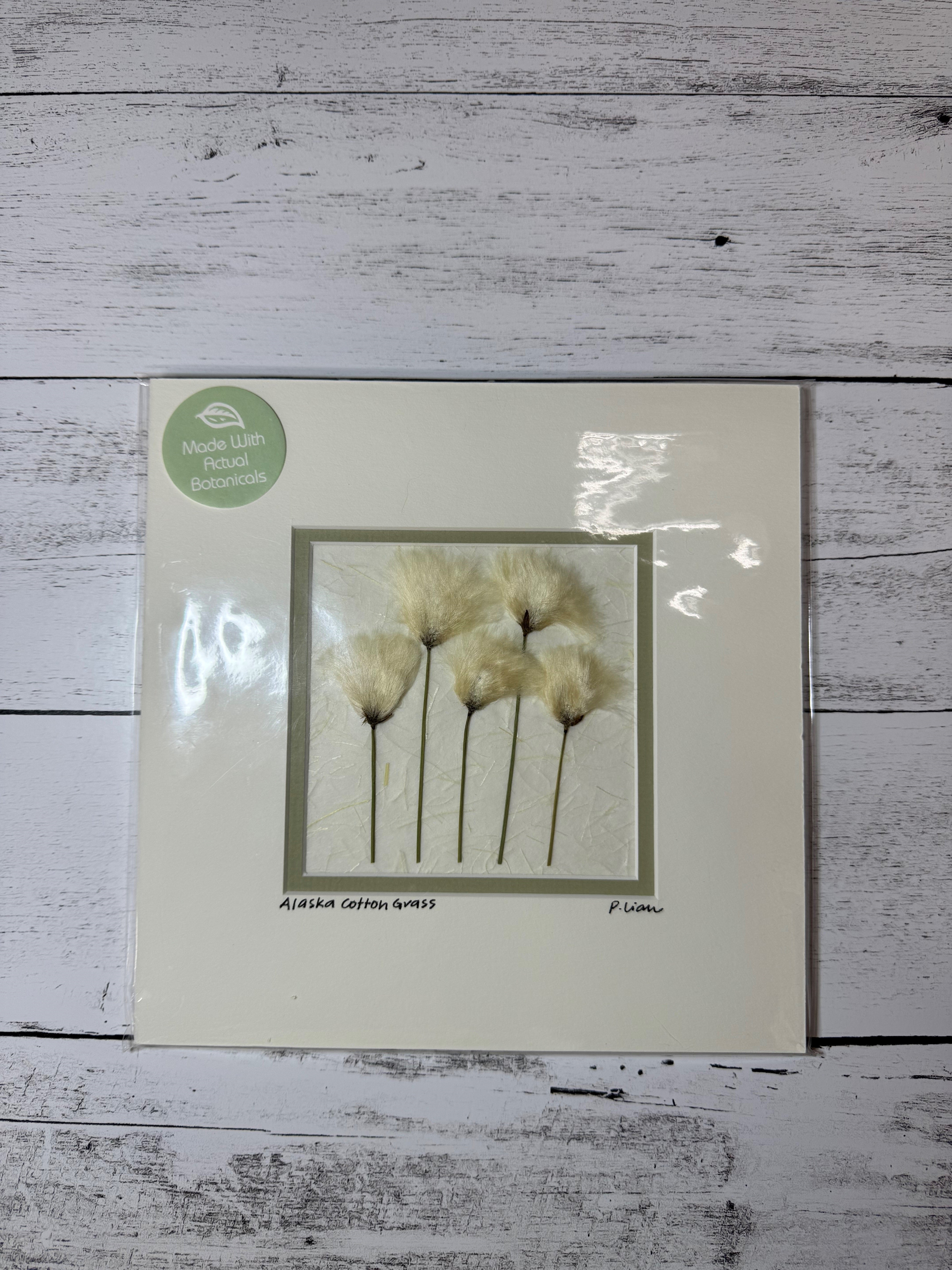 Iceworm Botanical Collection (Medium)