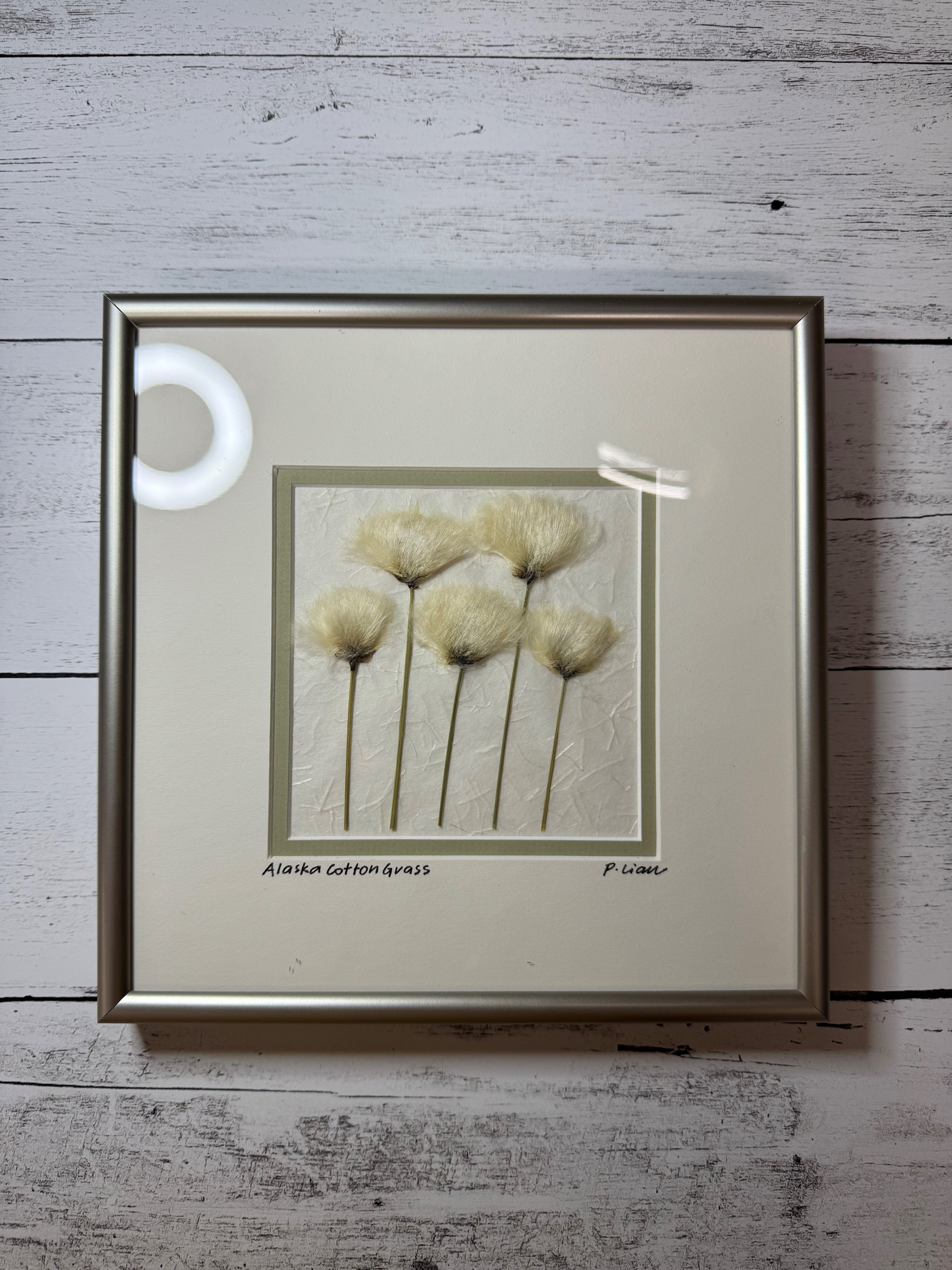 Iceworm Botanical Collection (Medium)