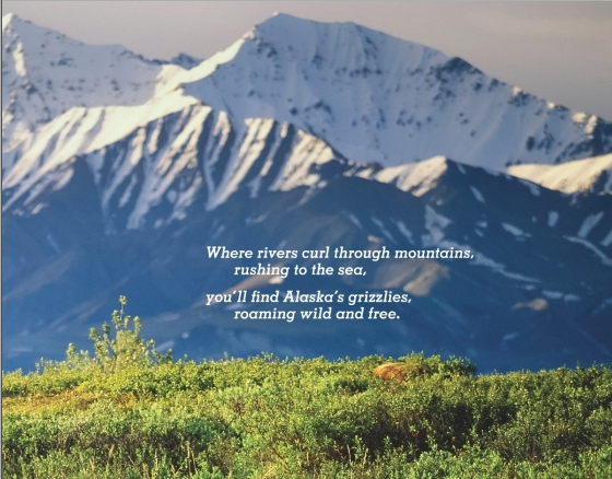Grizzly Bears of Alaska: Explore the WQild World of Bears