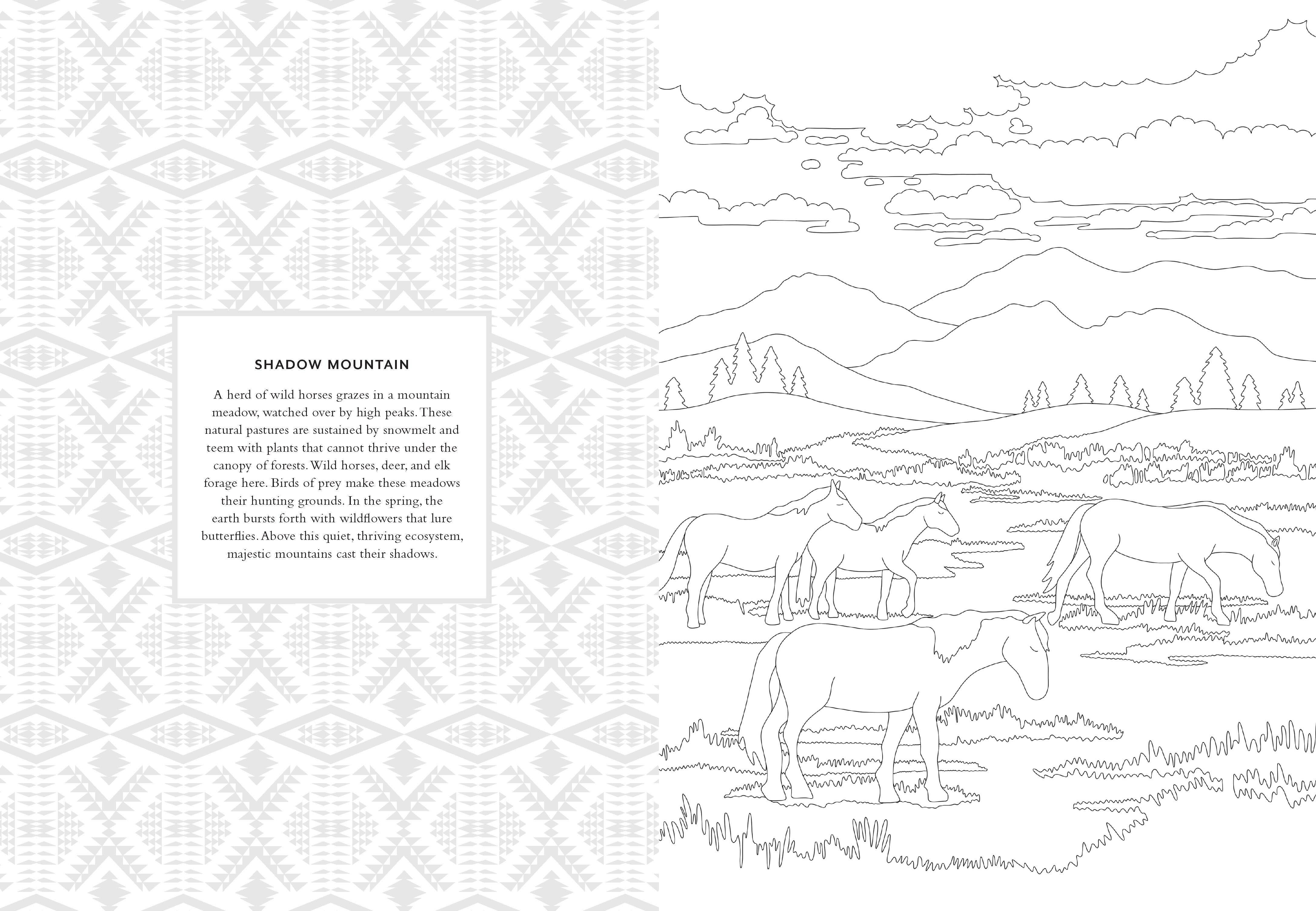 Pendleton Coloring Book