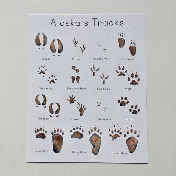 Alaska Animal Tracks Art Print