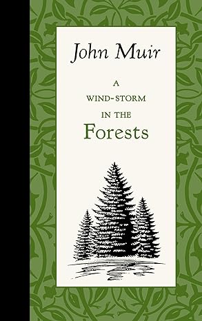 A Wind-Storm in the Forests