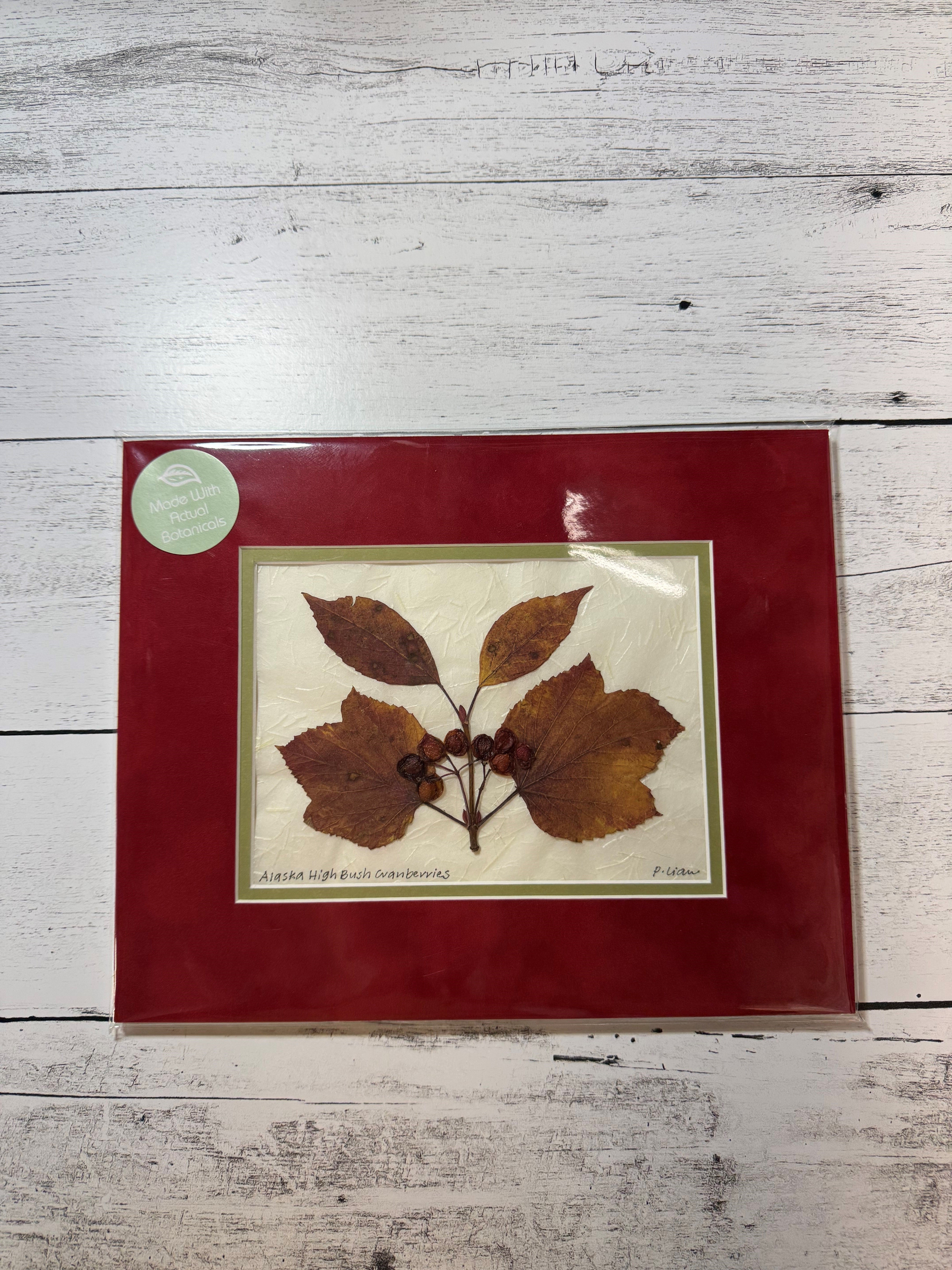 Iceworm Botanical Collection (Medium)