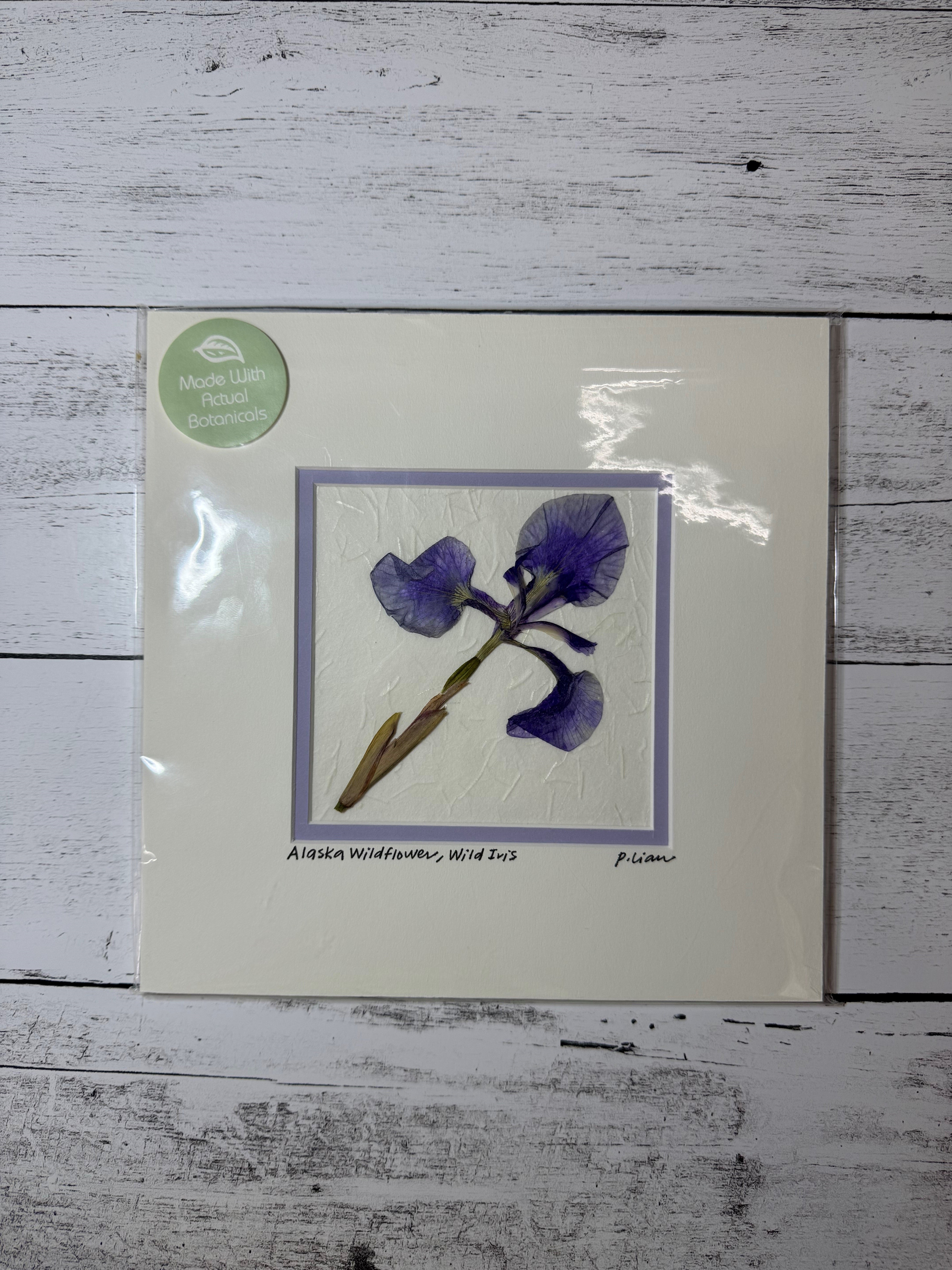 Iceworm Botanical Collection (Medium)