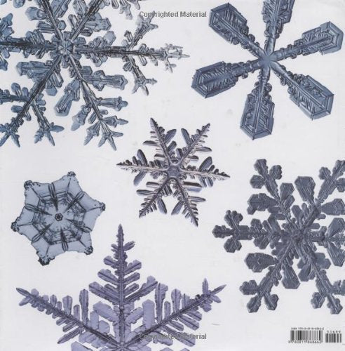 The Story of Snow: The Science of Winter's Wonder -Paperback