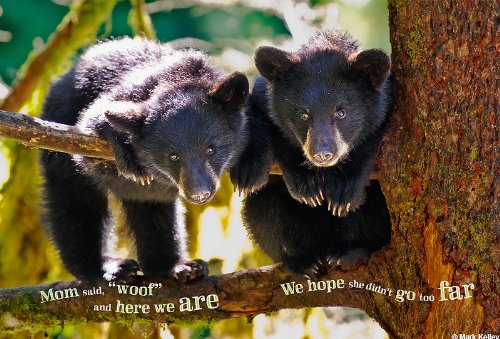 Once Upon Alaska: A Kid's Photo Book