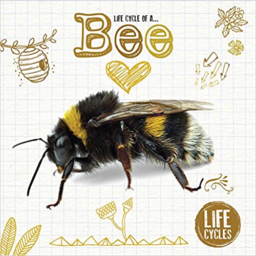 Life Cycles: Honey Bee